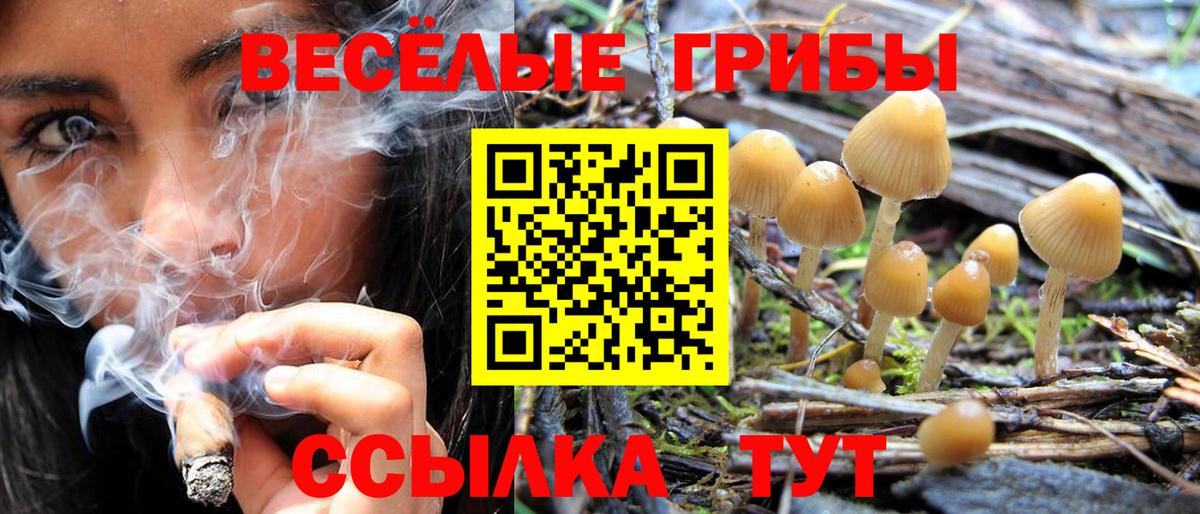 Верхний Уфалей  где купить   Вход с VPN  Псилоцибиновые грибы прущие грибы 