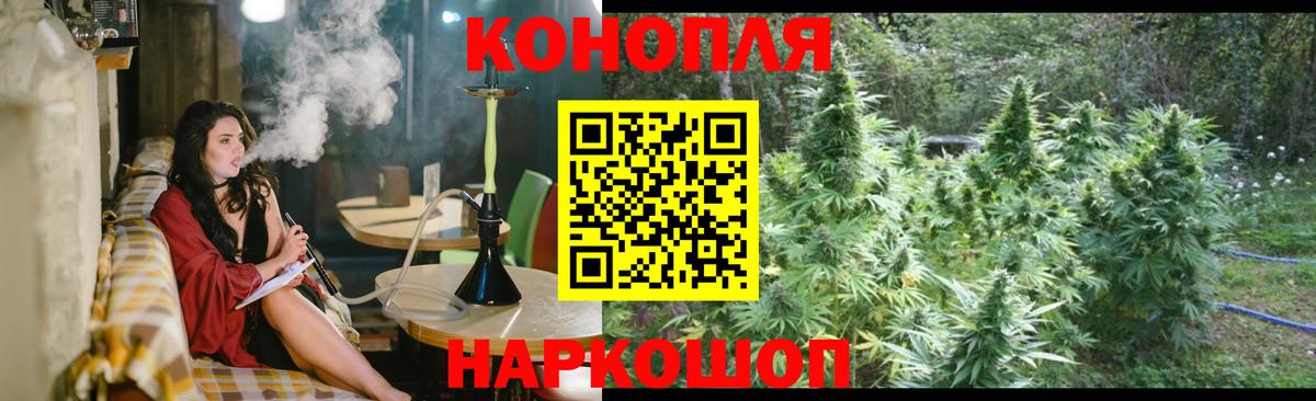 Каннабис OG Kush  Вход с VPN  Верхний Уфалей  Марихуана индика  Бошки марихуана OG Kush 